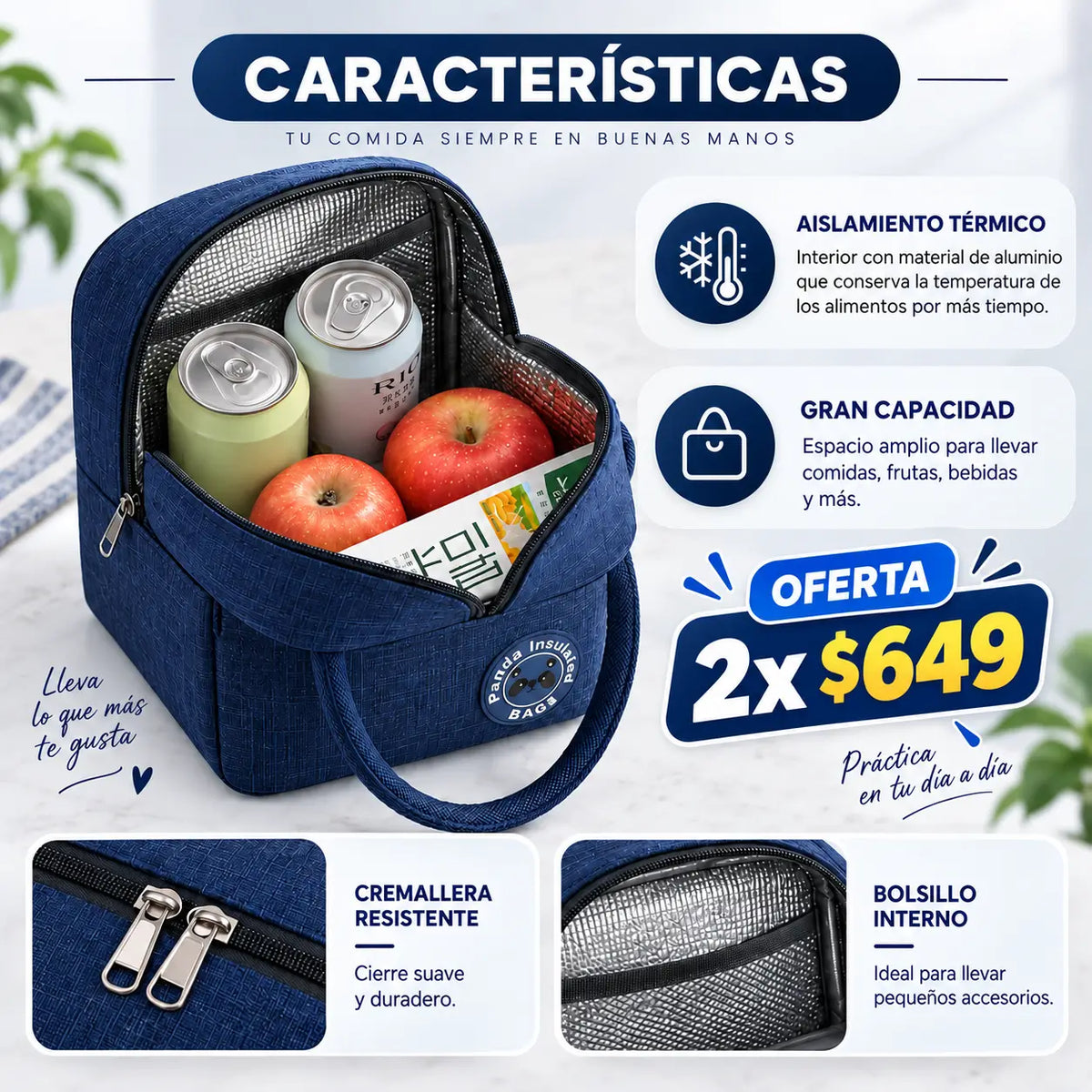 TitanLunch Bag